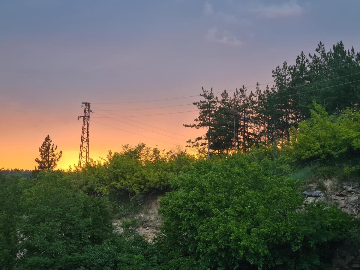 Туристически Дом Кайлъка Pleven Exterior foto